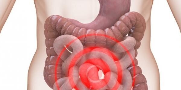 القولون| colon