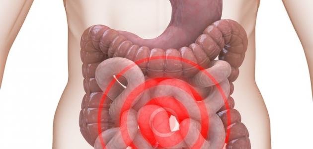 القولون| colon