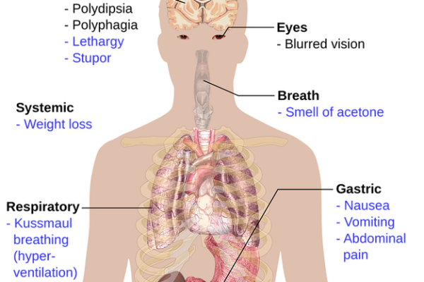 <strong>الساسي</strong>